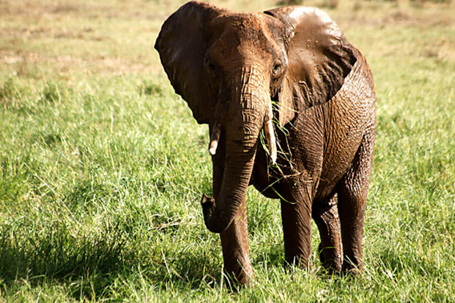 The elephant in the House at the State of the Union